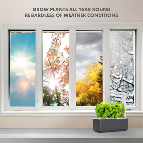 Click & Grow 50+ plant pods offer varied herbs.