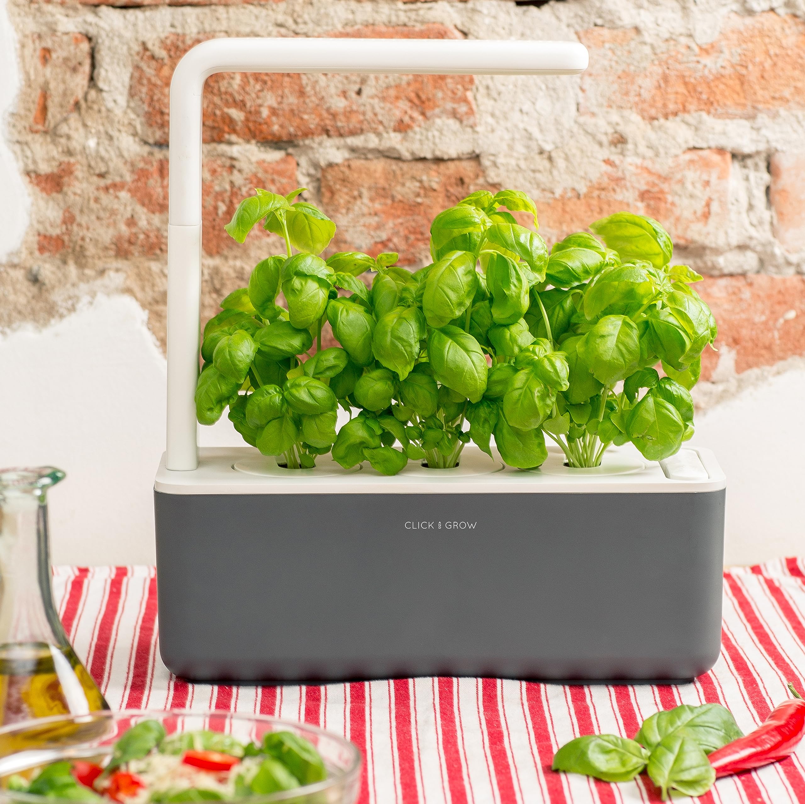 Click and Grow basil pods ready for harvestable, flavorful leaves