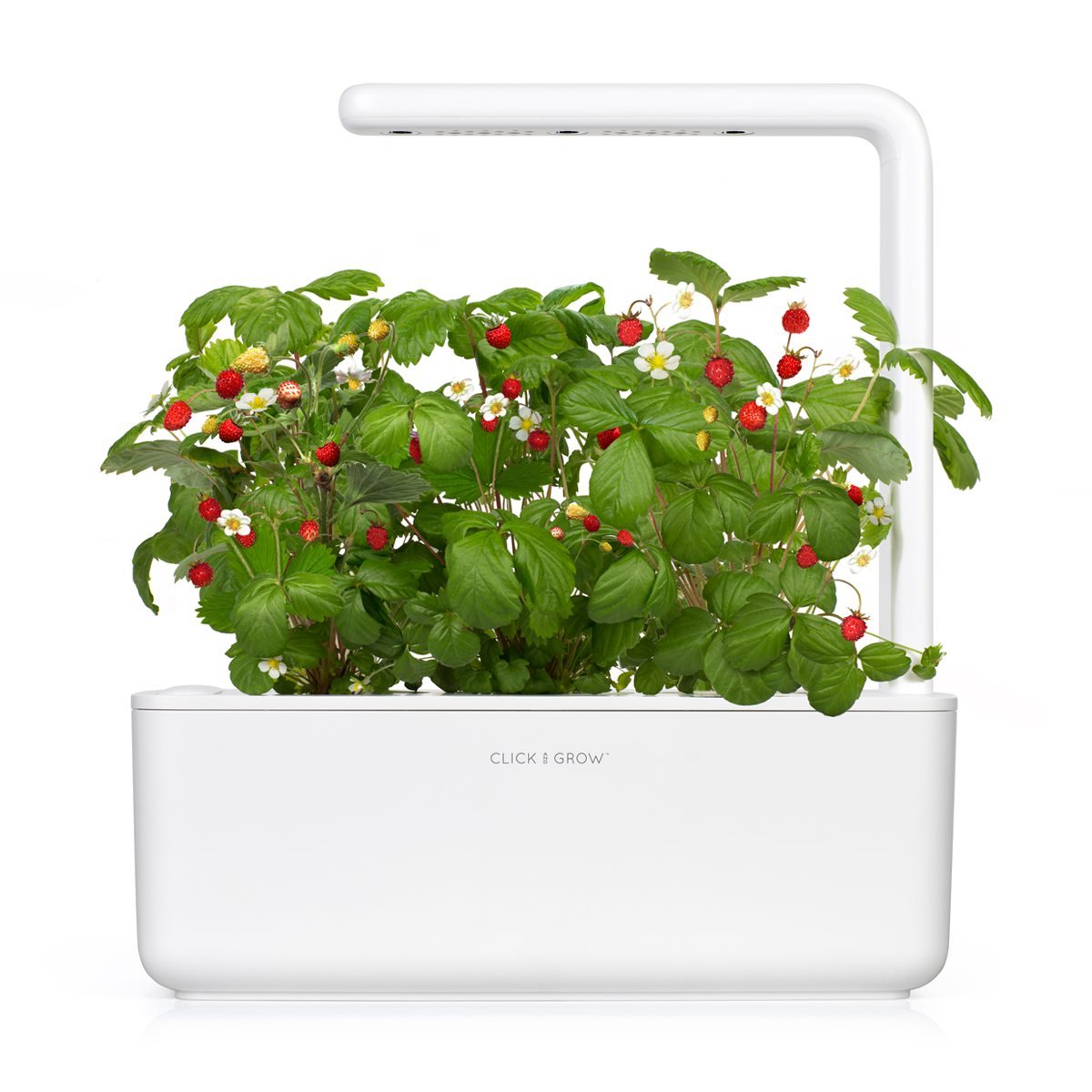 Click and Grow biodegradable seeds pack highlighting eco-friendly growth.