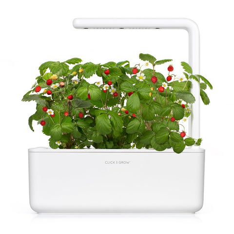 Click and Grow biodegradable seeds pack highlighting eco-friendly growth.