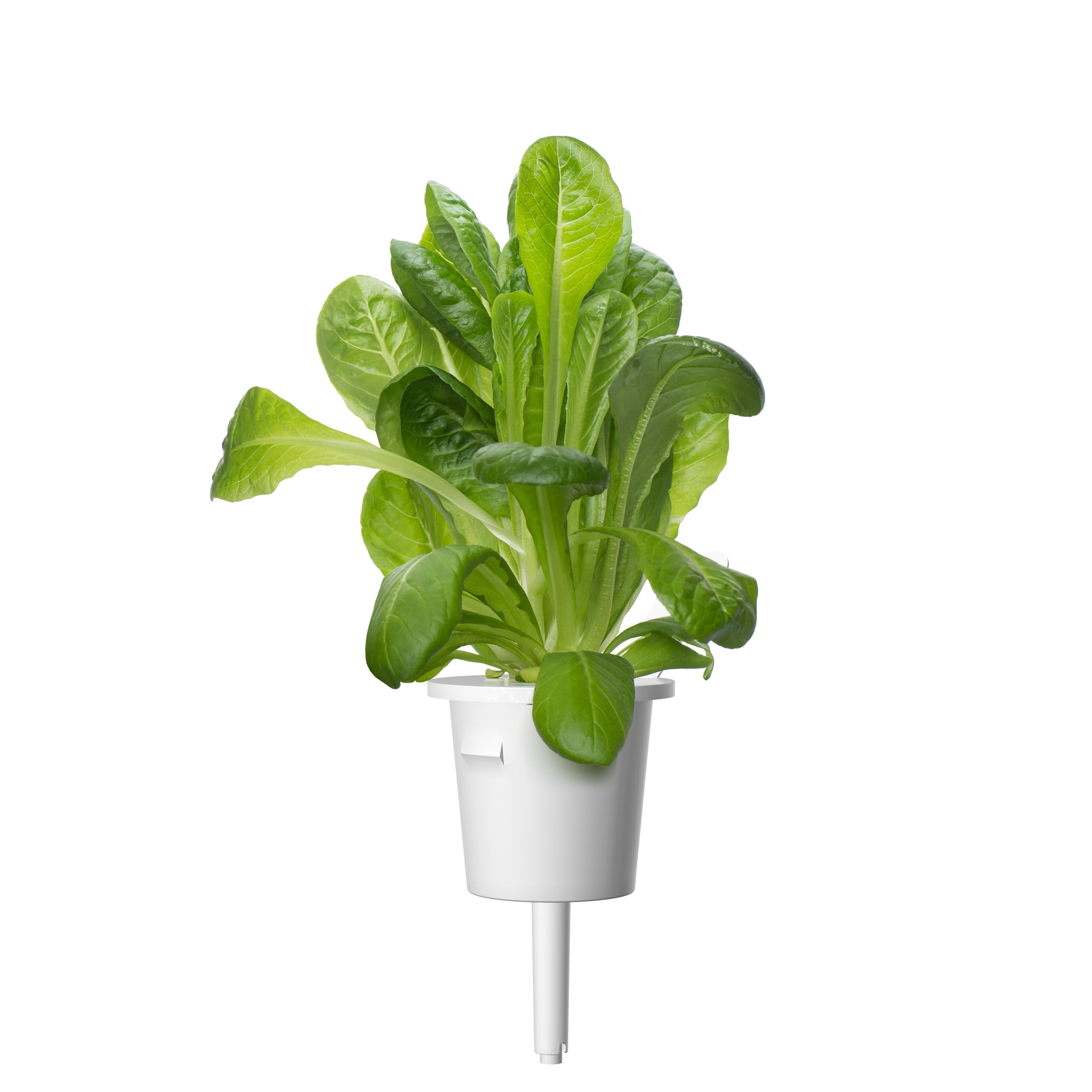 Click and Grow brand logo packaging shows compact at-home growing solution.