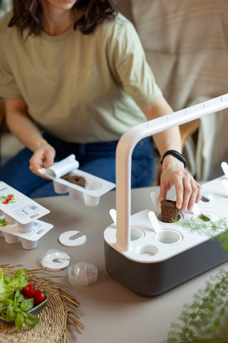 Click and Grow cilantro pods package-arrangement on shelf.