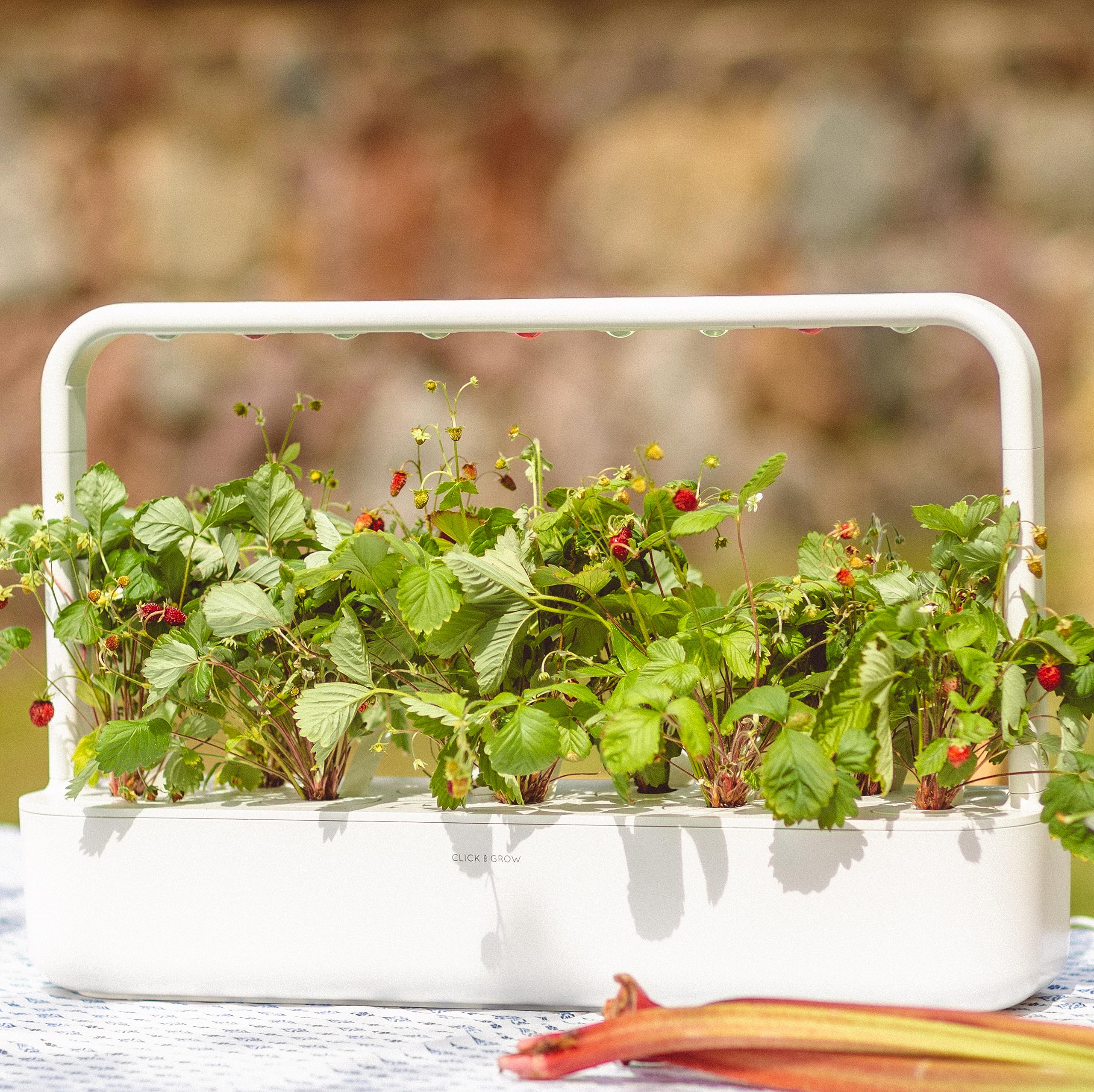 Click and Grow compact indoor garden base enabling year-round harvests.