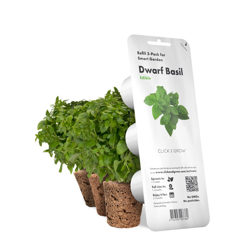 Click and Grow dwarf basil pods 3-pack on display for easy home gardening