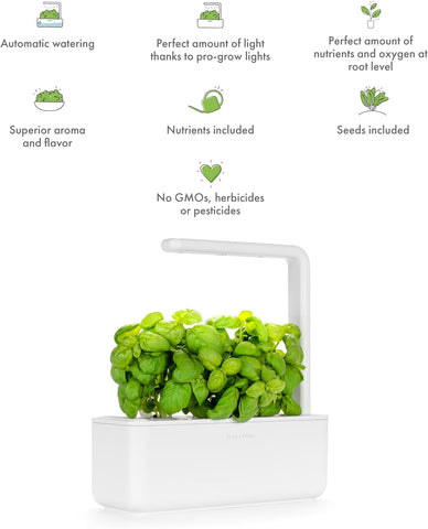 Click & Grow setup steps illustrate quick, simple start for beginners.