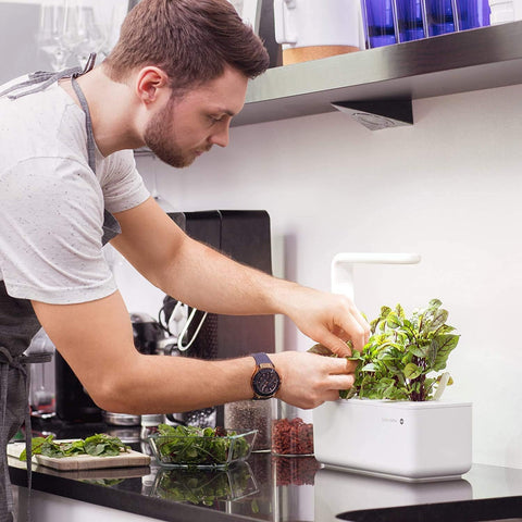 Four month nutrient supply supports ongoing sprouts in the pod.