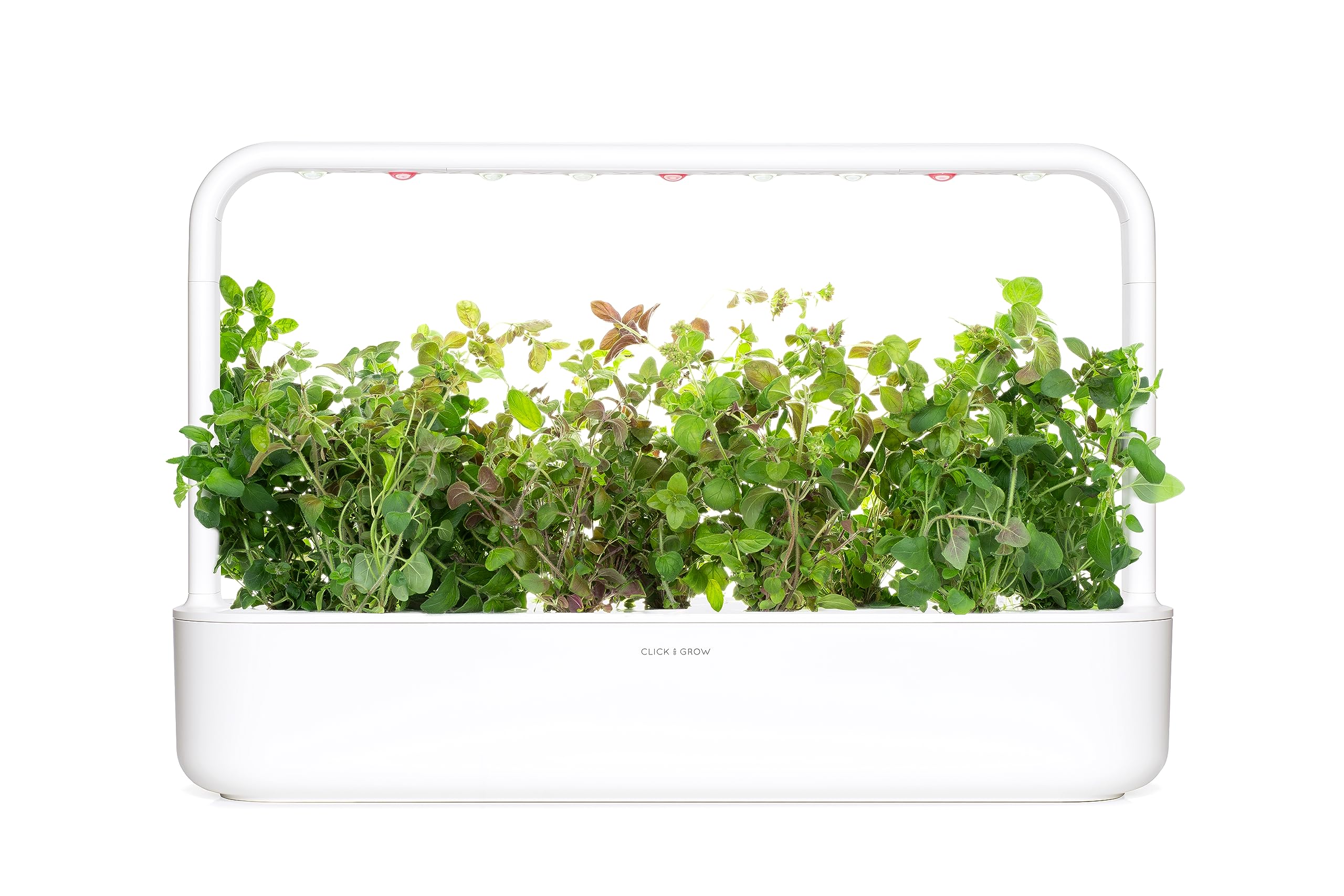 Click and Grow germination guarantee icon with oregano pods.