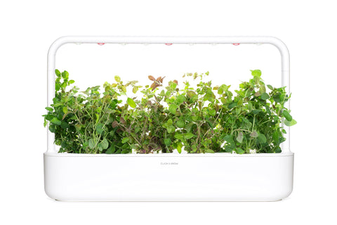 Click and Grow germination guarantee icon with oregano pods.