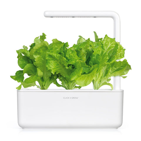 Click and Grow green lettuce pod closeup showing vibrant leaves ready for salads.