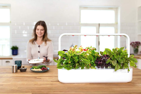 Pod insertion into a Click & Grow Smart Garden for experiments.