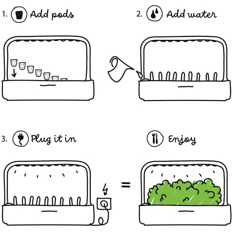 Click and Grow oregano for pizza and marinades adding flavorful notes.