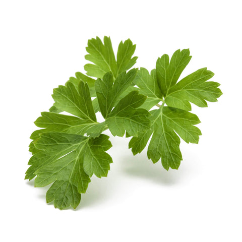 Click and Grow plain parsley pod with water tank enables easy at-home growth.