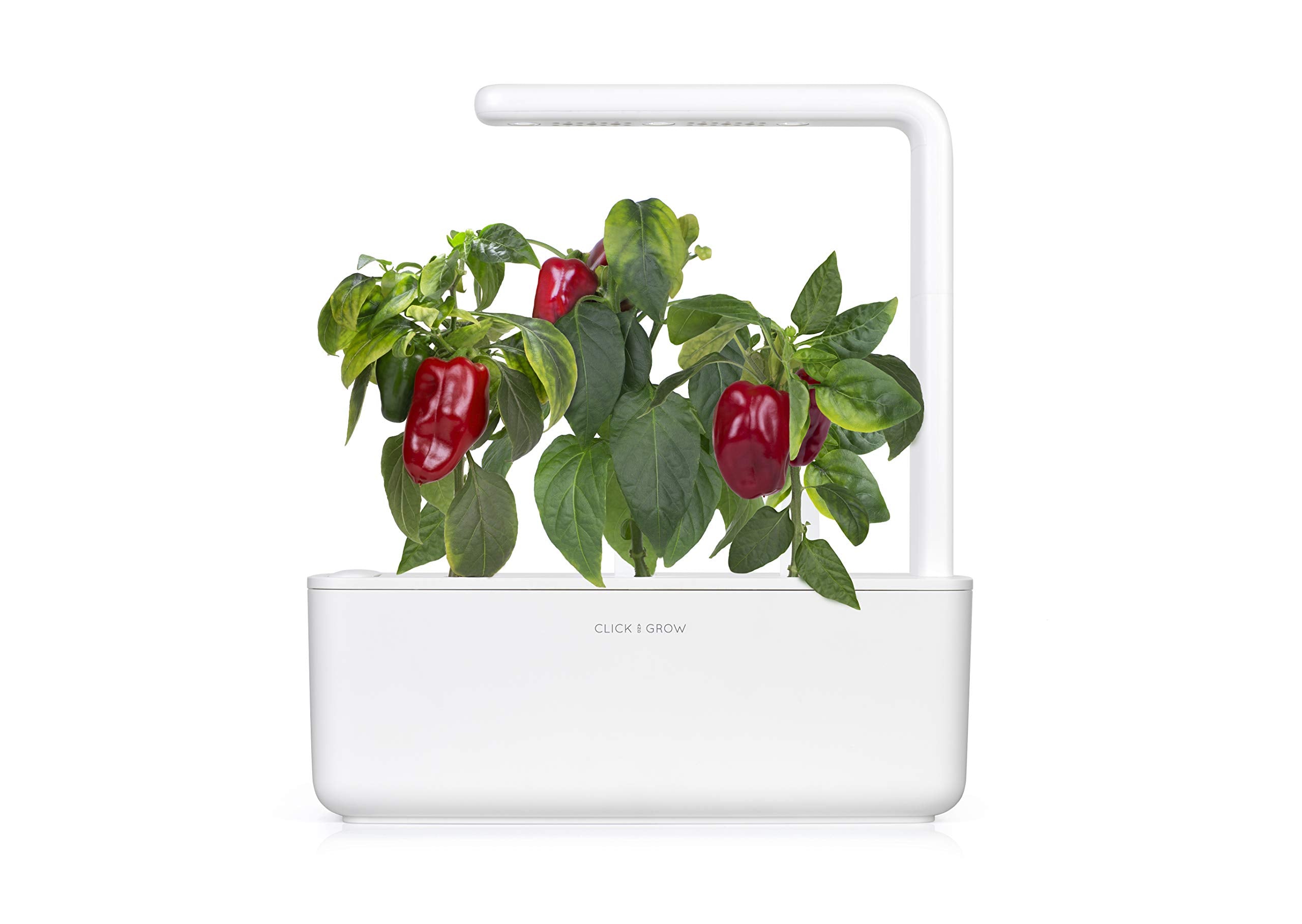 Click and Grow plant pods close-up highlighting biodegradable, non-GMO seeds.