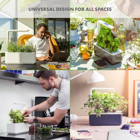 Click & Grow seedless pods enable flexible indoor gardening.