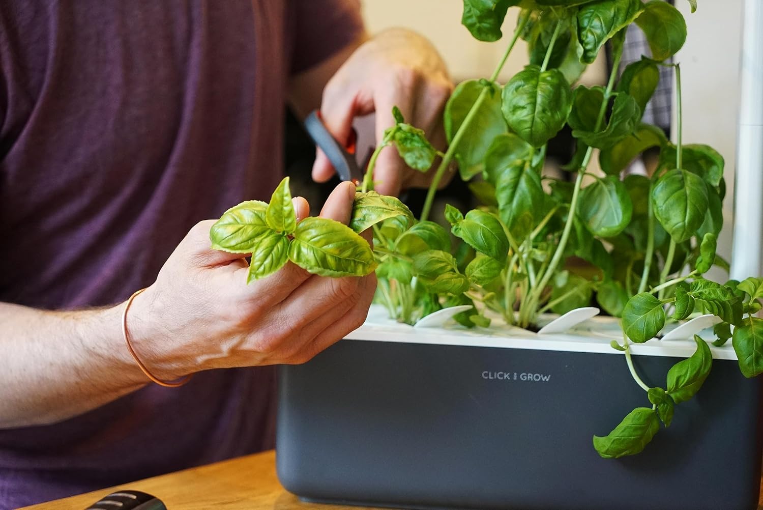 Click & Grow self-watering planter supports low-maintenance indoor growing.