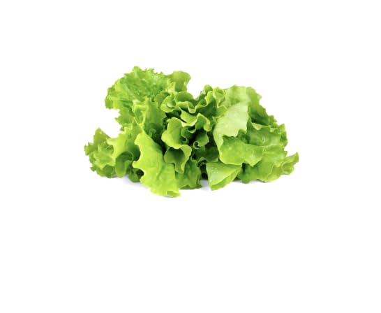Click and Grow smart garden compact unit enables effortless, soil-free cultivation of lettuce at home.