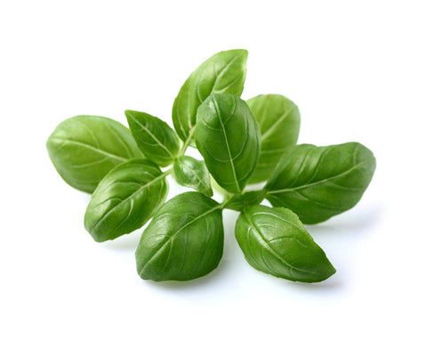 Click and Grow smart garden in use simplifies home herb preparation