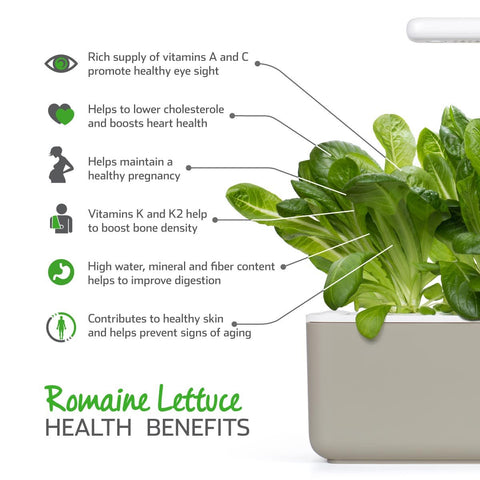 Click and Grow smart garden ready-for-use setup helps busy homes grow produce.
