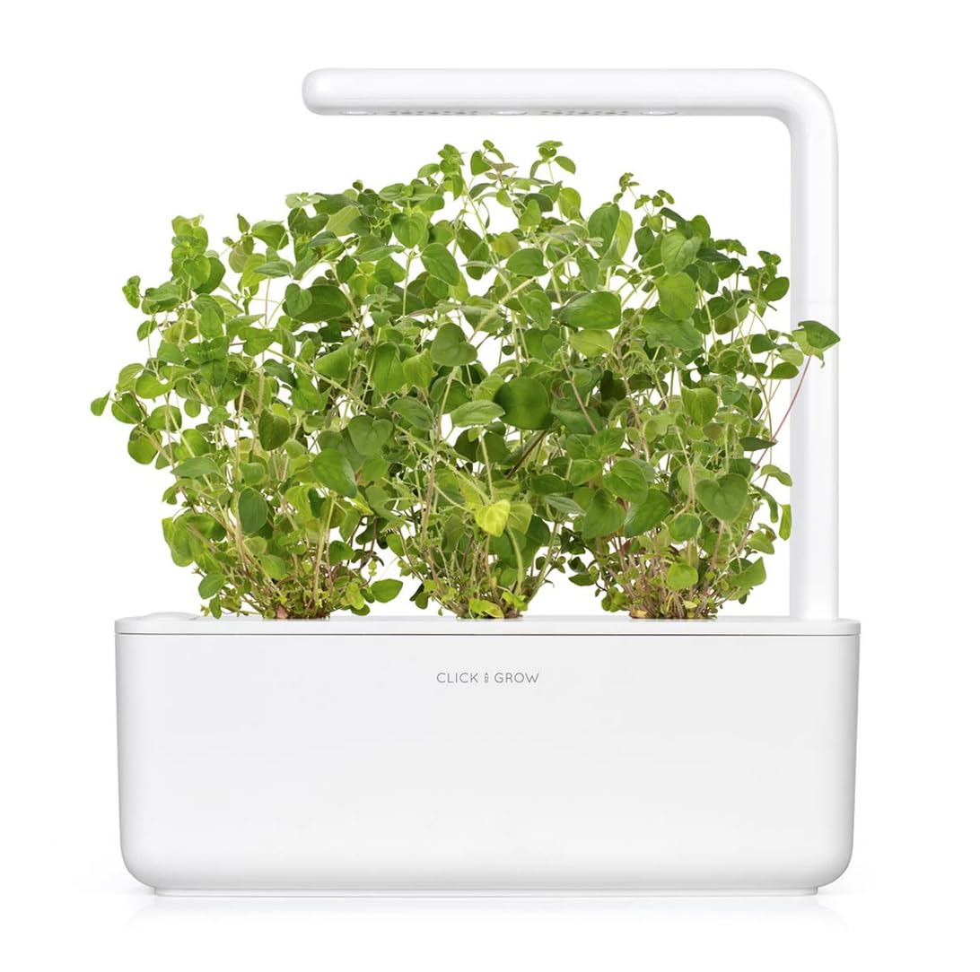 Click and Grow smart garden setup with oregano for easy herb growing.