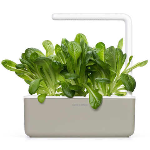 Click and Grow water tank fill demonstrates easy setup for fresh romaine.