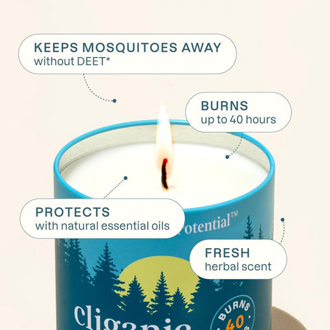 Cliganic essential oil candle with rosemary and peppermint for fresh outdoors