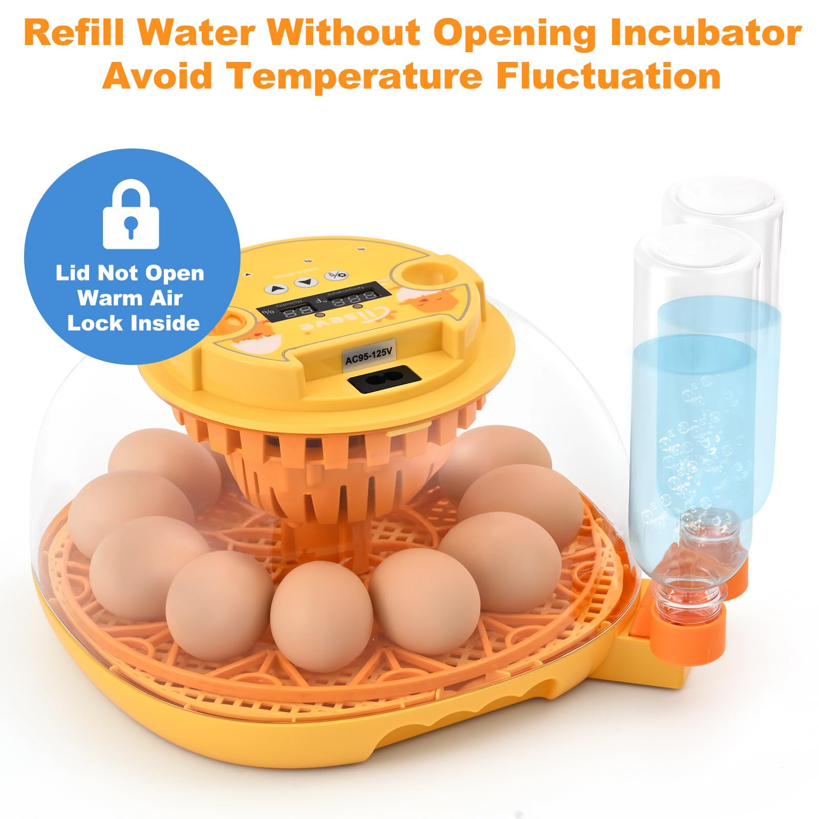 Durable PET body of Cliseve incubator withstands temperature changes for hobby use.
