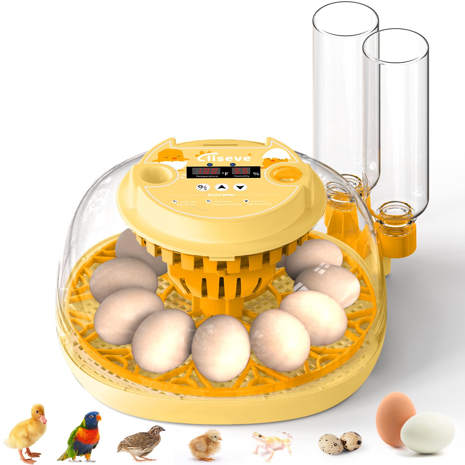 Cliseve egg incubator with 360° window for easy observation of developing eggs.