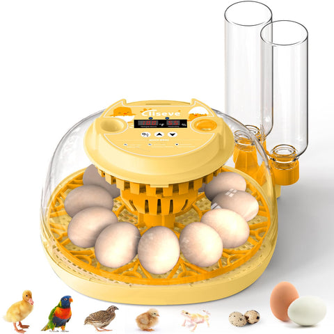 Cliseve egg incubator with 360° window for easy observation of developing eggs.