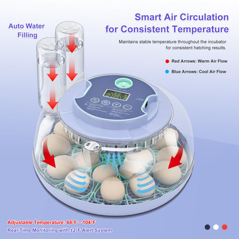Cliseve egg incubator temperature display for precise control.