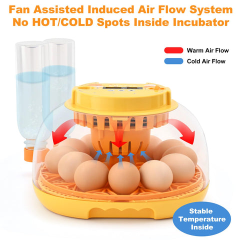 Transparent lid of Cliseve incubator enables quick checks without disturbing conditions.