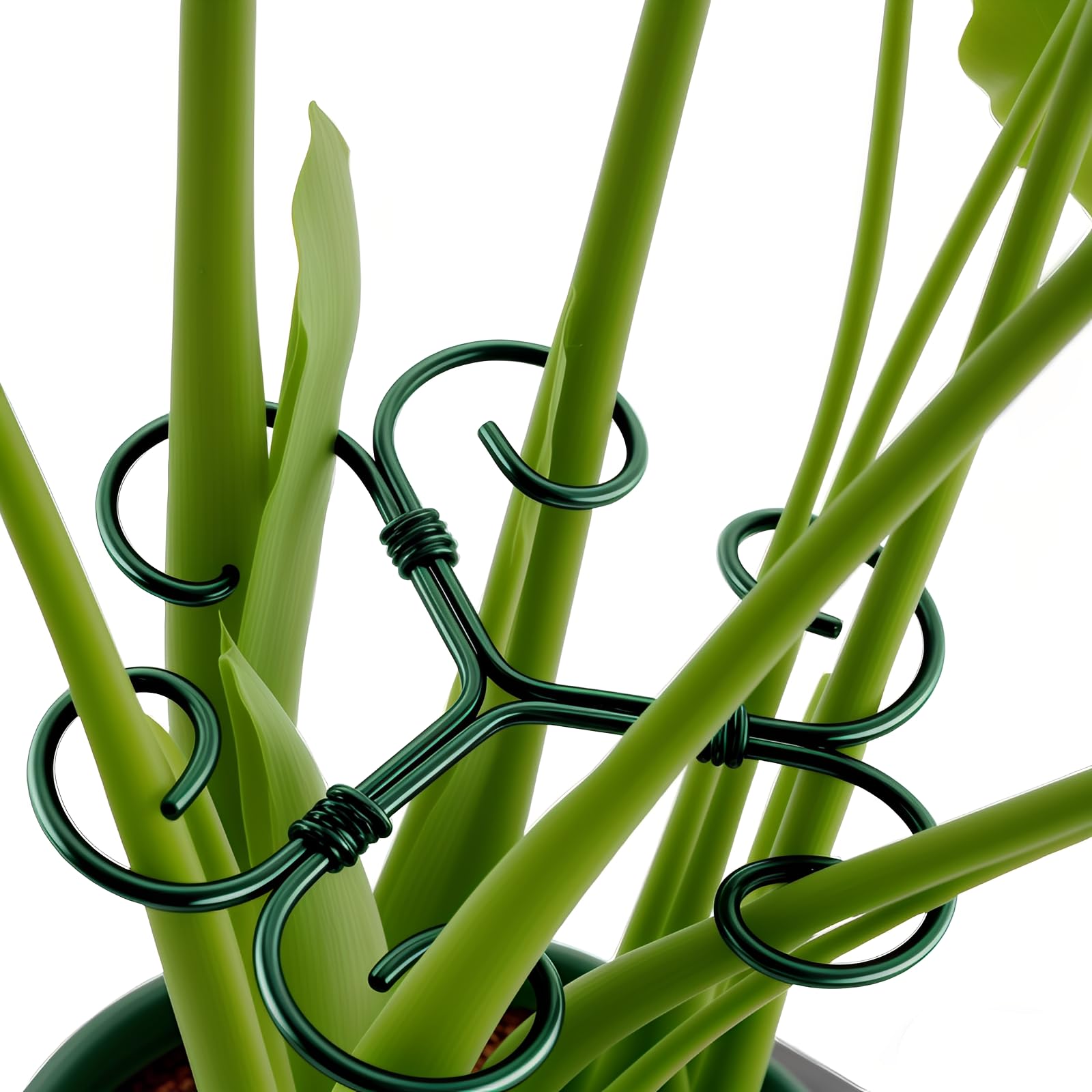 CLLFUU Green Iron Monstera Support offers sturdy stability for climbing plants indoors.