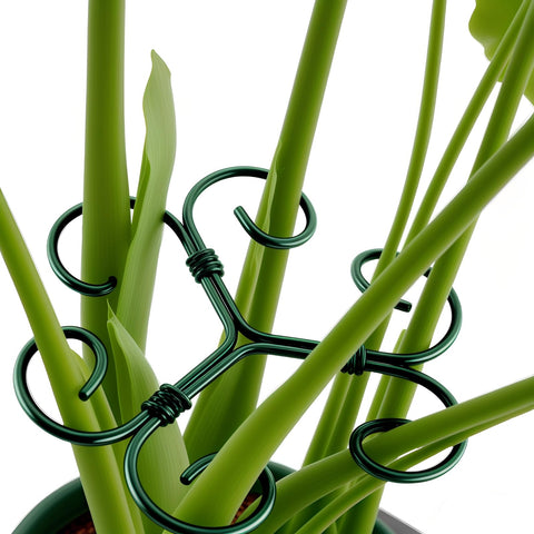 CLLFUU Green Iron Monstera Support offers sturdy stability for climbing plants indoors.