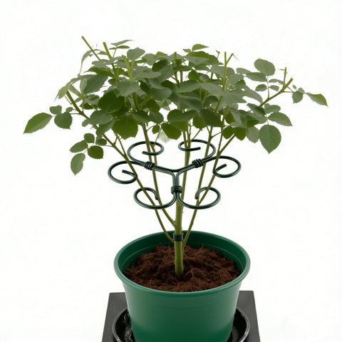 CLLFUU Green Monstera Support set provides versatile indoor plant support solutions.