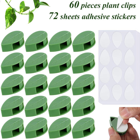 CllyCnny acrylic self-adhesive stickers attach vines without wall damage.