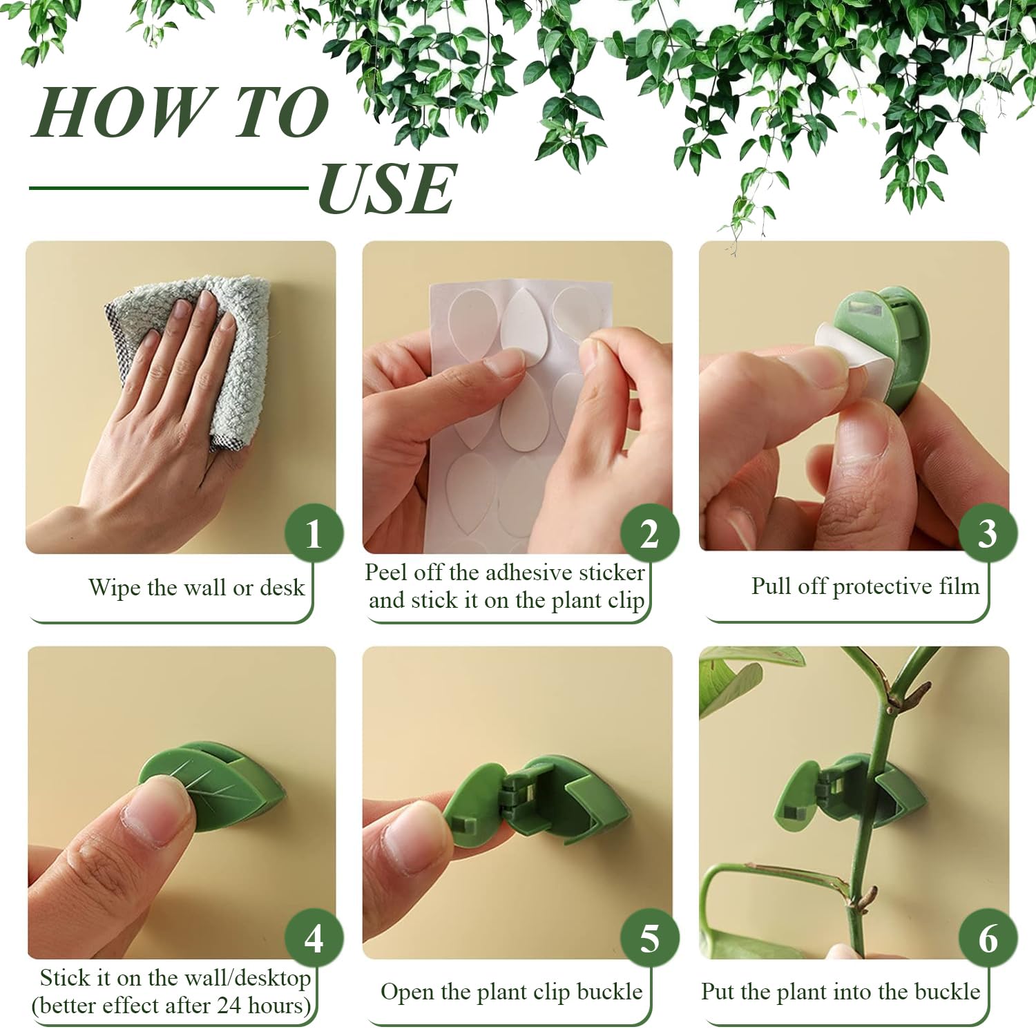 CllyCnny vine support for indoor and outdoor plant displays.