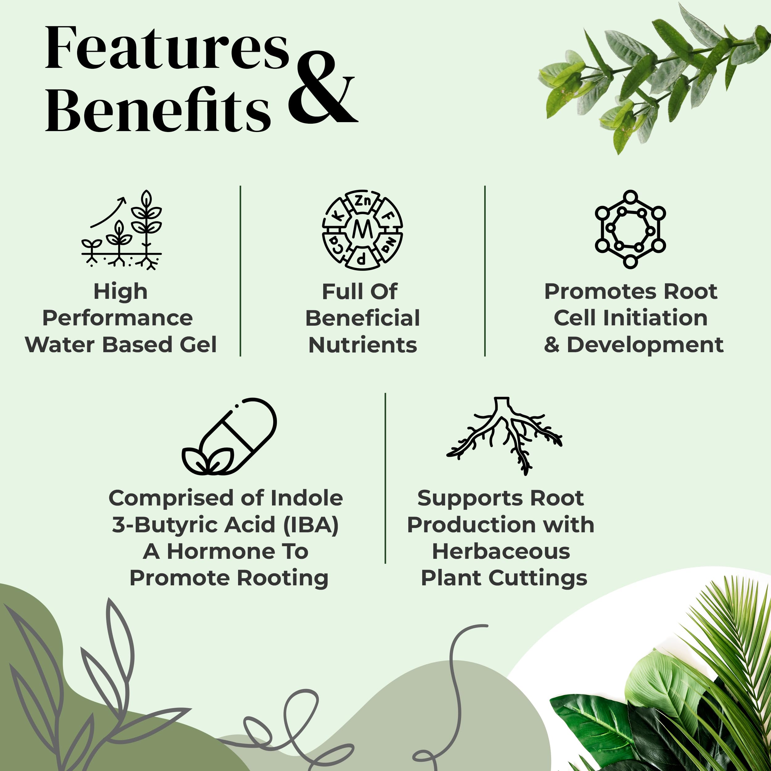 Cutting dipped into Clonex Rooting Gel promotes vigorous root formation