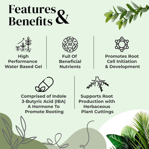 Cutting dipped into Clonex Rooting Gel promotes vigorous root formation