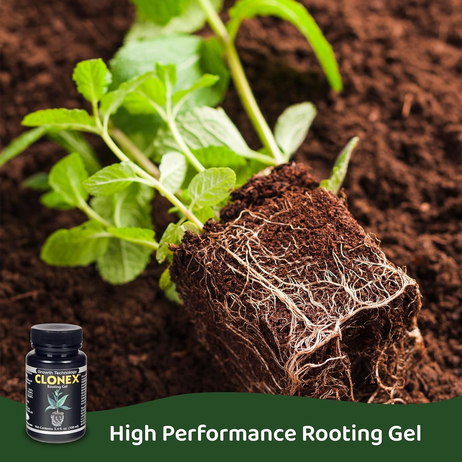 Clonex Rooting Gel dipping cuttings demonstrates easy application and contact with plant tissue.