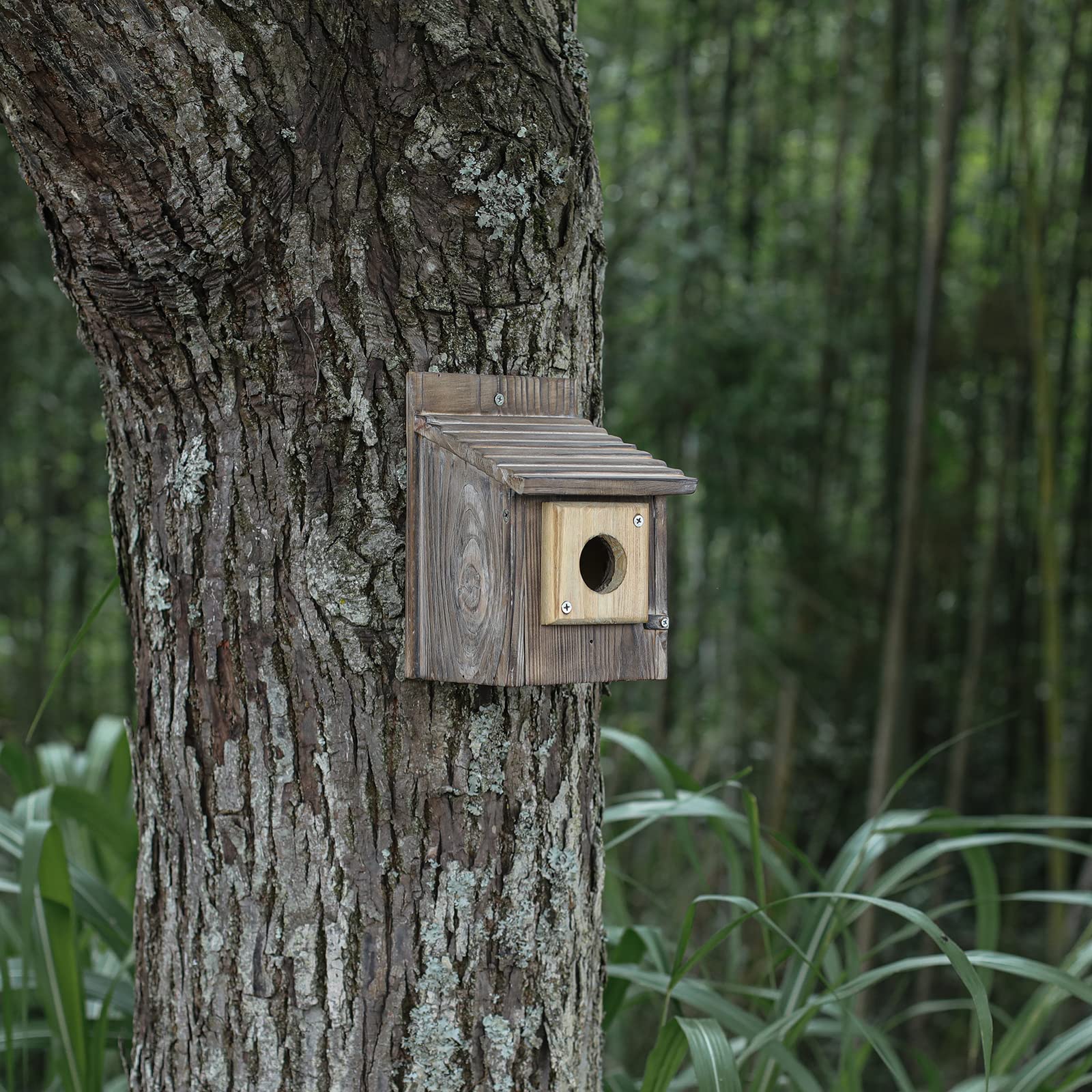 Cloud Fragrant guard installation on a bird house outdoors