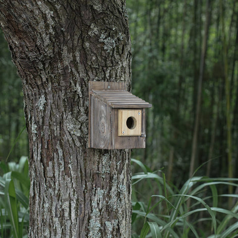 Cloud Fragrant guard installation on a bird house outdoors