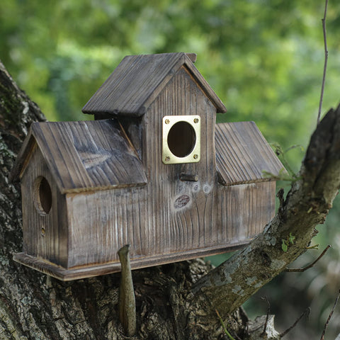 Cloud Fragrant metal bluebird house predator guard on a box