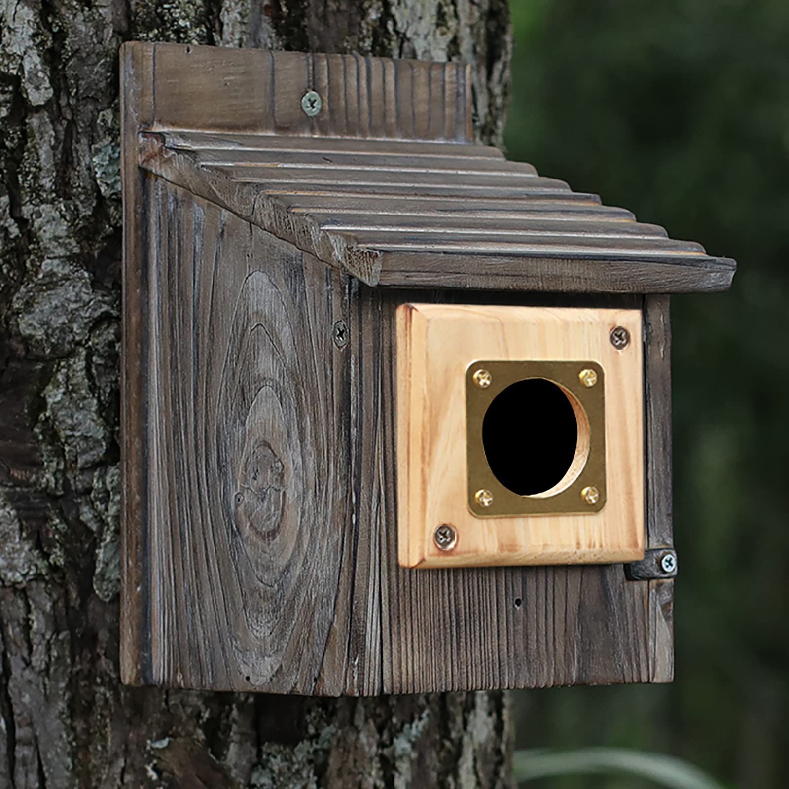 Includes two guards and twelve screws for quick, DIY-friendly mounting