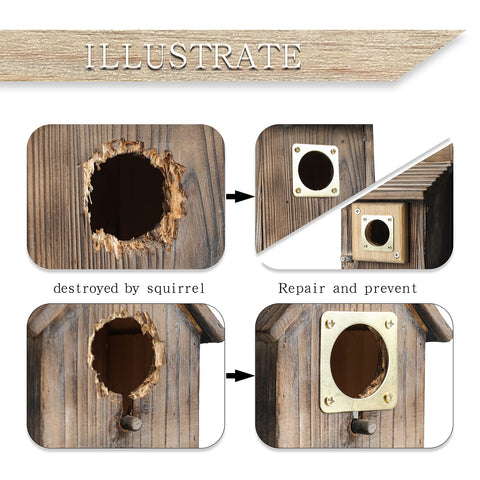 Weather-resistant materials help resist sun and rain while birds nest nearby