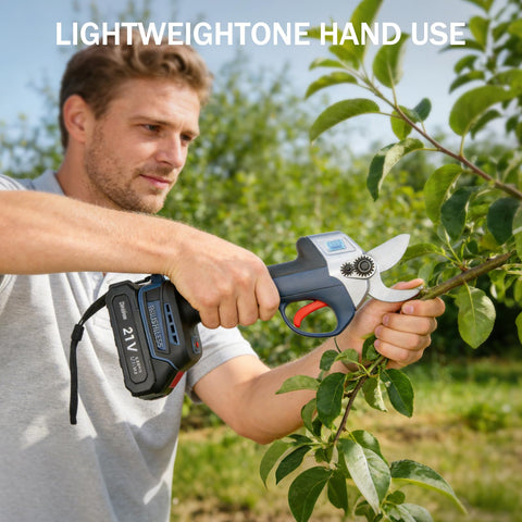 Complete garden tool set includes batteries, charger, blades, sharpening stone, and case.