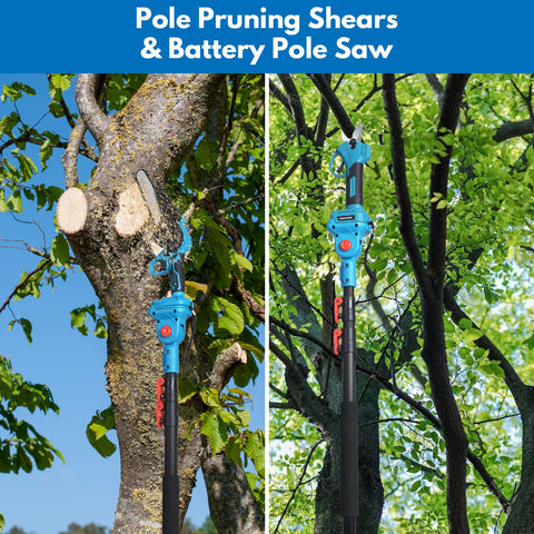 Clownya electric pruning shears provide clean cuts on small branches.