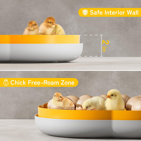 CluckRun 25 Egg Incubator protective walls keep chicks safe during hatching.