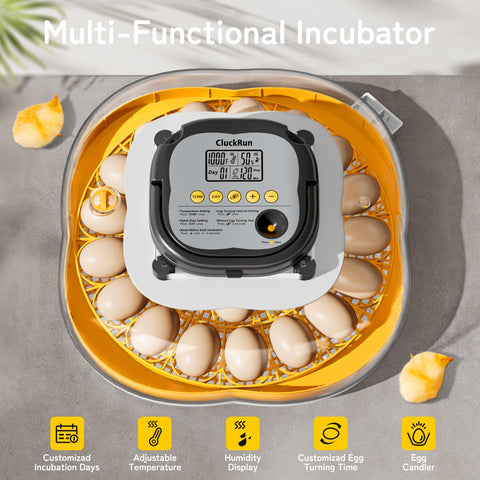 CluckRun 25 Egg Incubator precise temperature control prevents hot and cold spots.