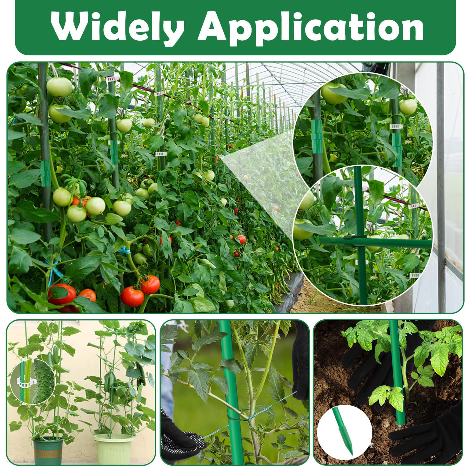 Cludoo pointed rubber caps protecting stems at soil level