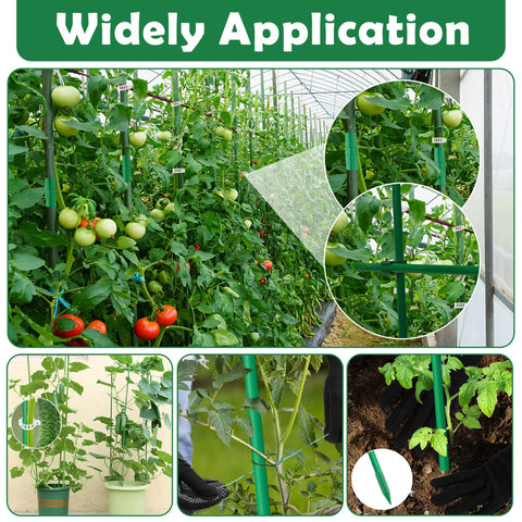 Cludoo pointed rubber caps protecting stems at soil level