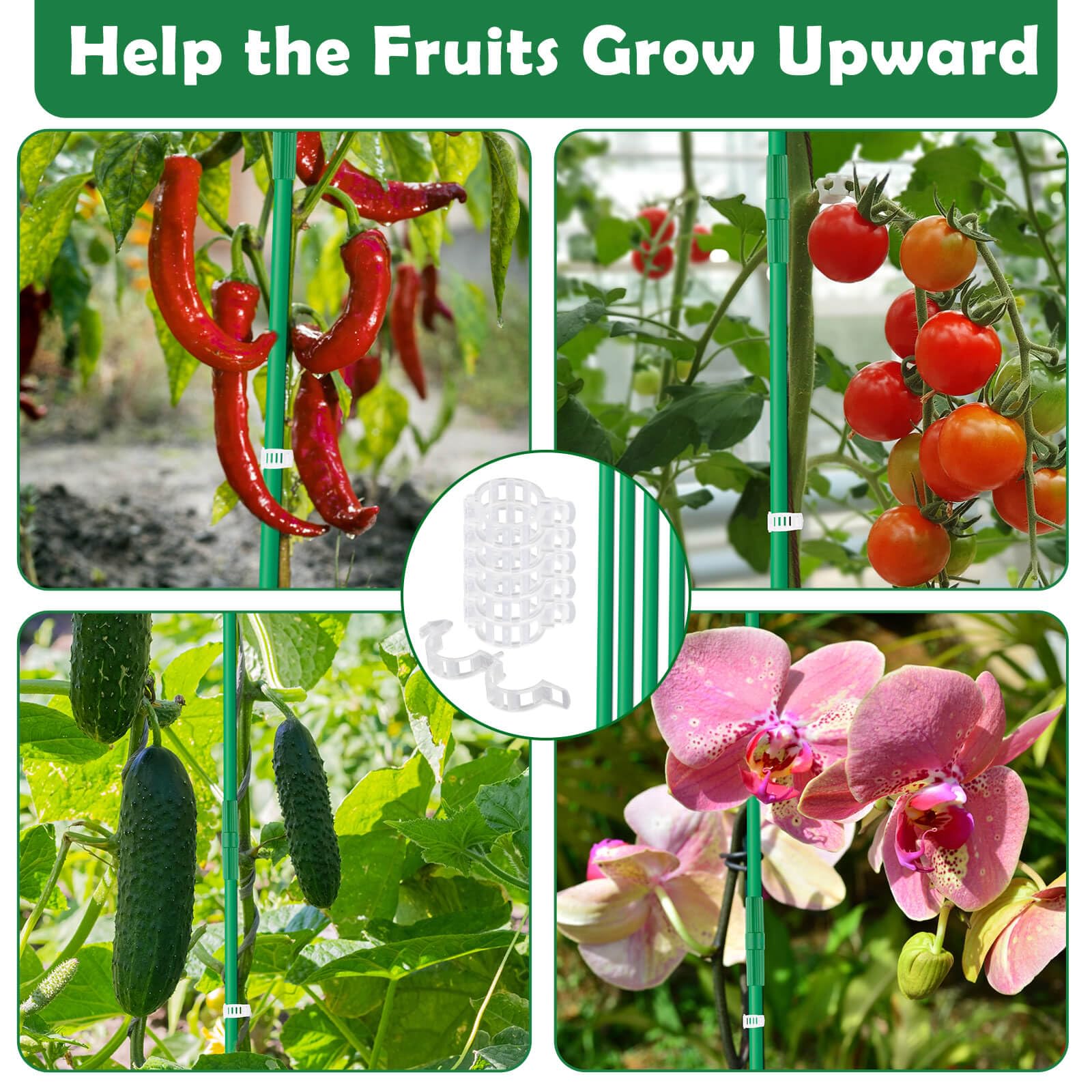 Cludoo twist ties secure stakes and plants for neat growth guidance